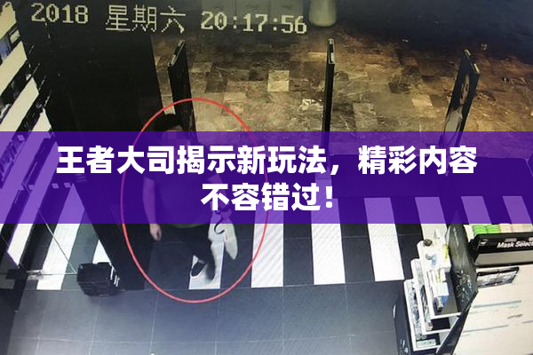 王者大司揭示新玩法，精彩内容不容错过！