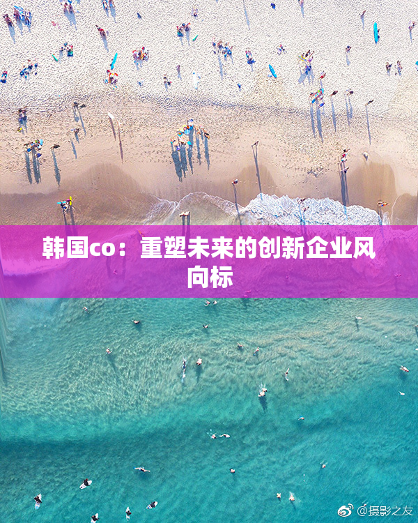 韩国co：重塑未来的创新企业风向标