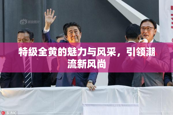 特级全黄的魅力与风采，引领潮流新风尚