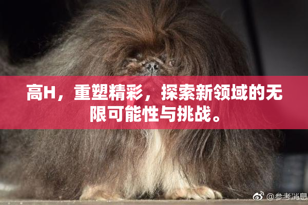 高H，重塑精彩，探索新领域的无限可能性与挑战。