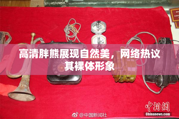 高清胖熊展现自然美，网络热议其裸体形象