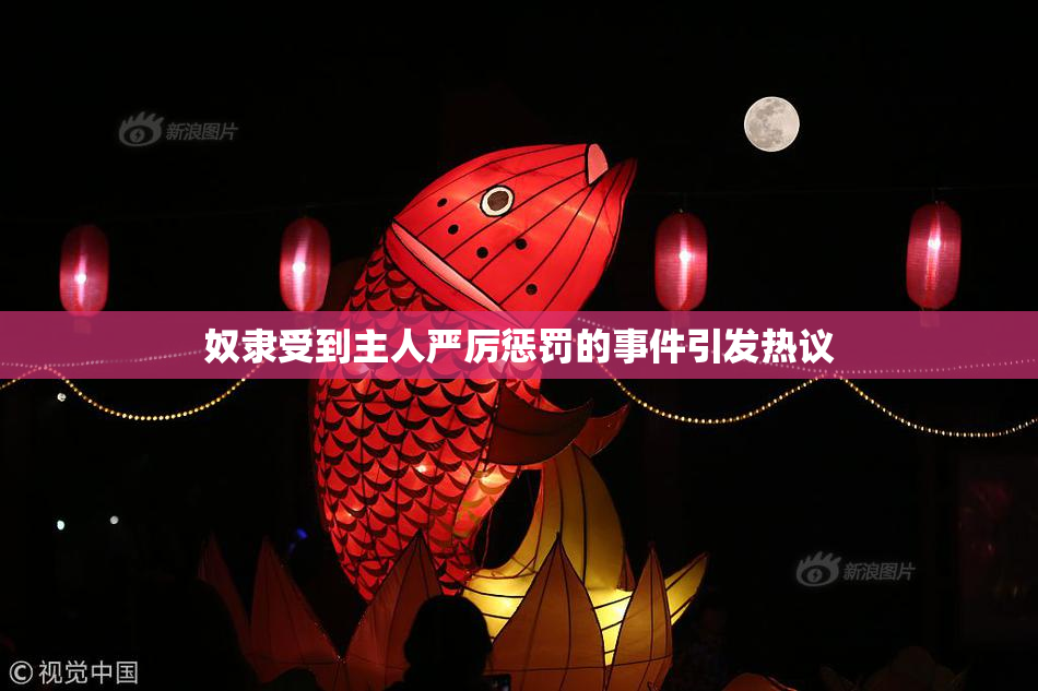 奴隶受到主人严厉惩罚的事件引发热议