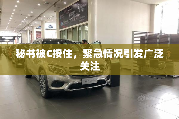 秘书被C按住，紧急情况引发广泛关注