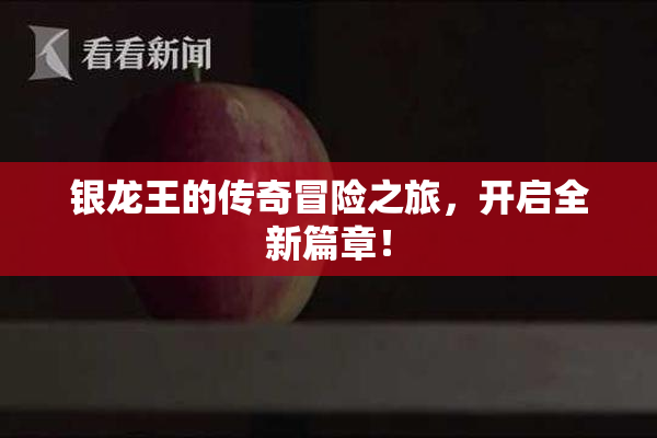 银龙王的传奇冒险之旅，开启全新篇章！