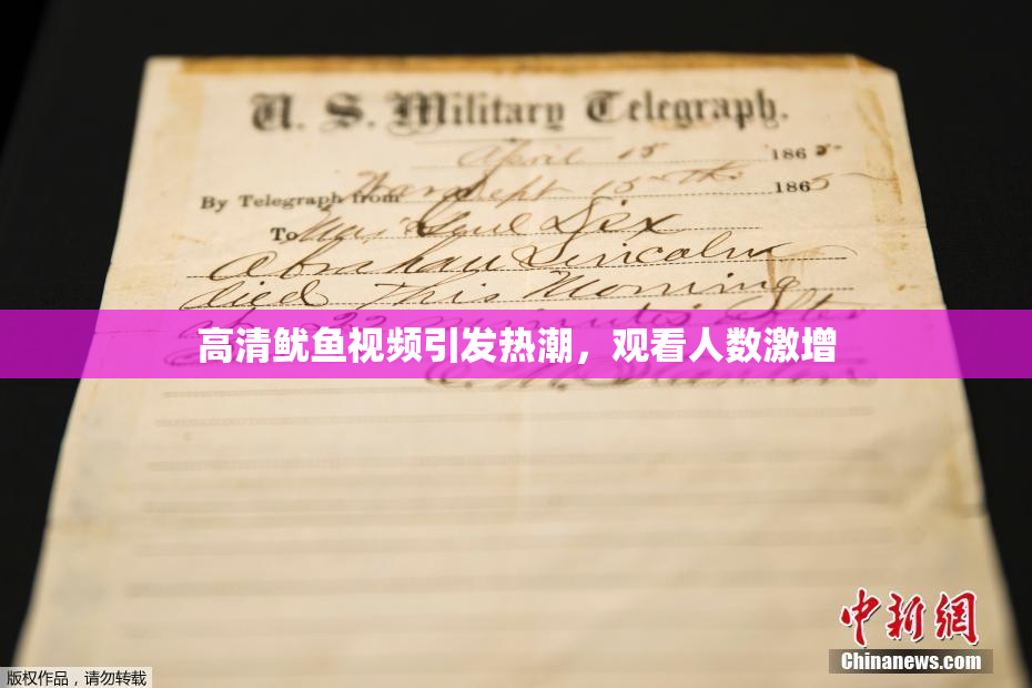高清鱿鱼视频引发热潮，观看人数激增