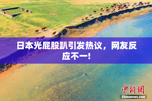 日本光屁股趴引发热议，网友反应不一!
