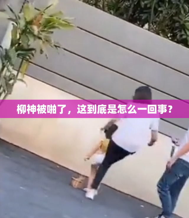 柳神被啪了，这到底是怎么一回事？