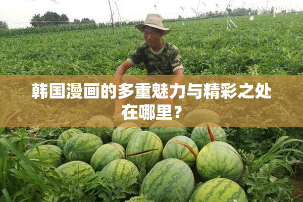 韩国漫画的多重魅力与精彩之处在哪里？