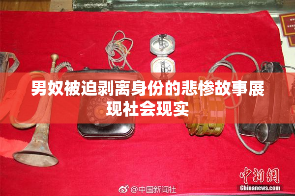 男奴被迫剥离身份的悲惨故事展现社会现实