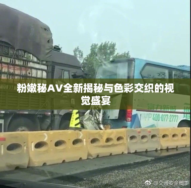 粉嫩秘AV全新揭秘与色彩交织的视觉盛宴