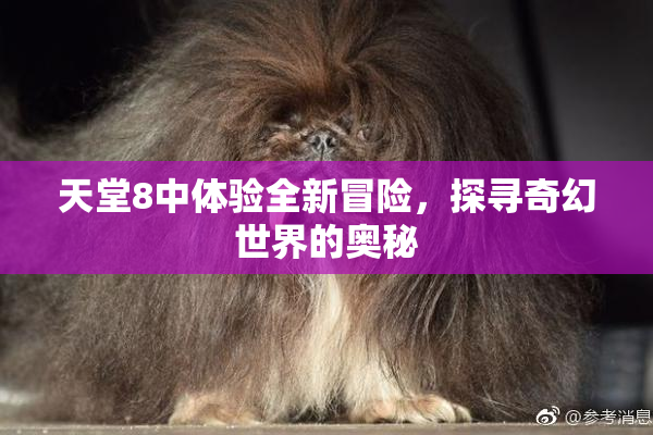 天堂8中体验全新冒险，探寻奇幻世界的奥秘