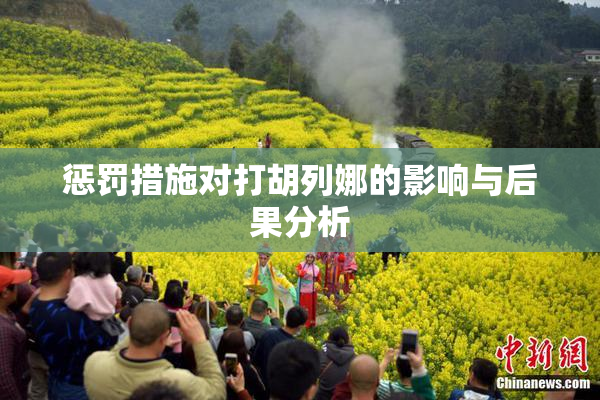 惩罚措施对打胡列娜的影响与后果分析