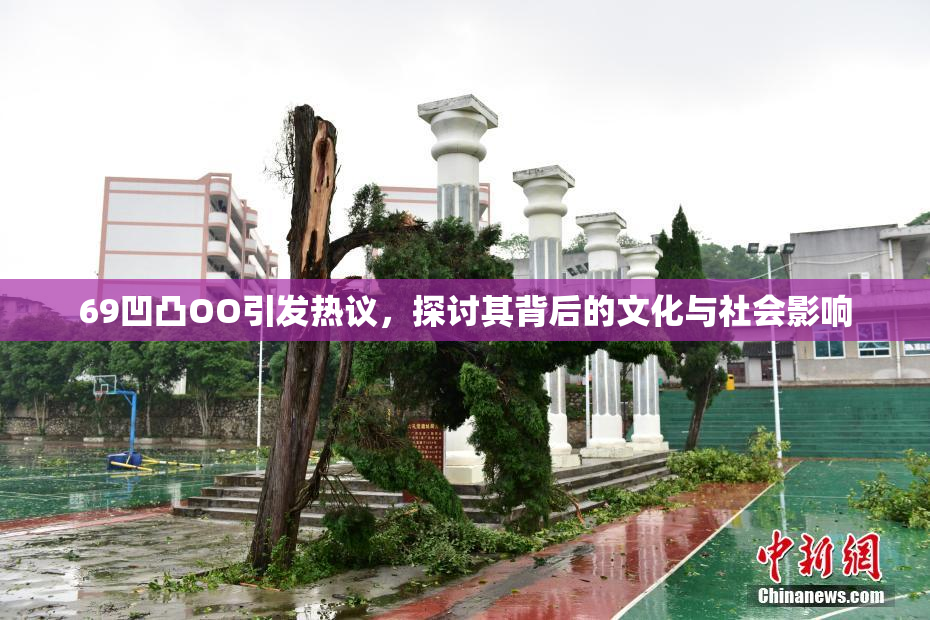69凹凸OO引发热议，探讨其背后的文化与社会影响