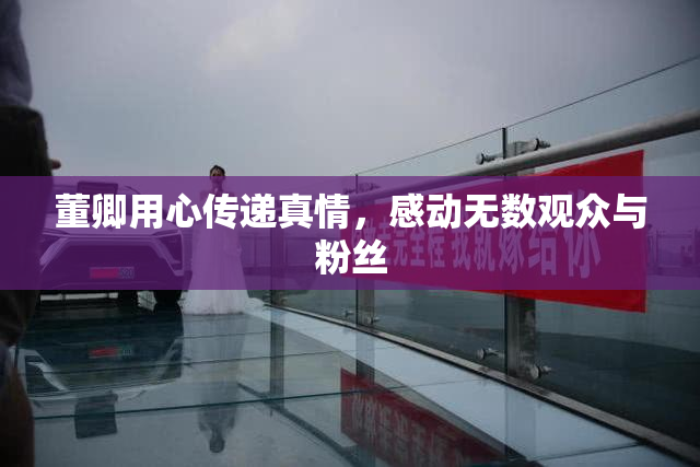 董卿用心传递真情，感动无数观众与粉丝