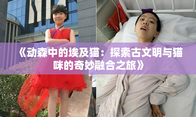 《动森中的埃及猫：探索古文明与猫咪的奇妙融合之旅》