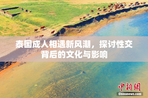 泰国成人相遇新风潮，探讨性交背后的文化与影响