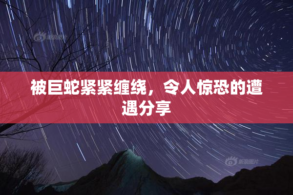 被巨蛇紧紧缠绕，令人惊恐的遭遇分享