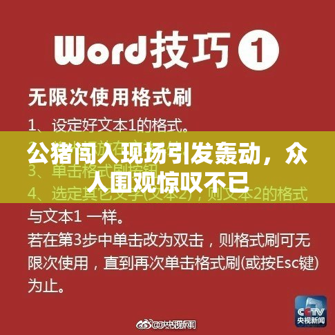 公猪闯入现场引发轰动，众人围观惊叹不已