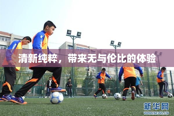 清新纯粹，带来无与伦比的体验