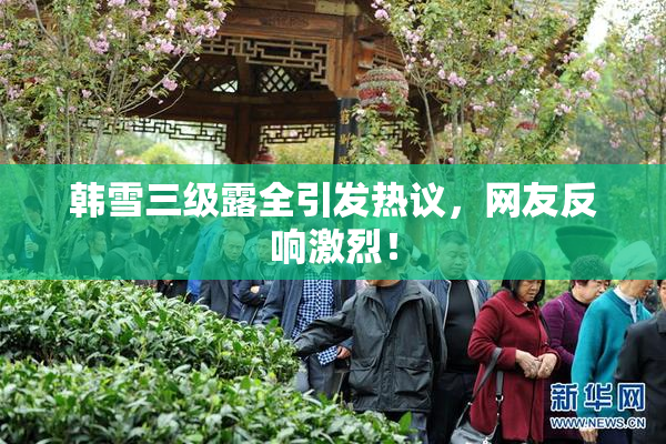 韩雪三级露全引发热议，网友反响激烈！