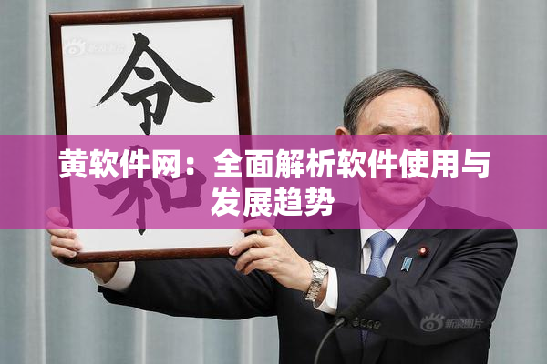 黄软件网：全面解析软件使用与发展趋势