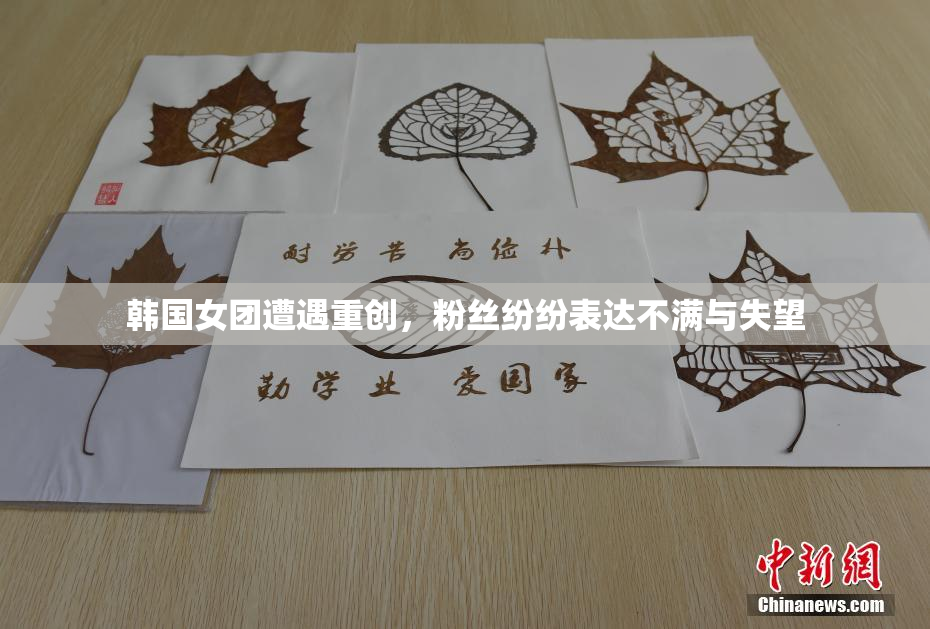 韩国女团遭遇重创，粉丝纷纷表达不满与失望