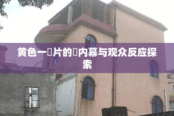黄色一級片的黃内幕与观众反应探索