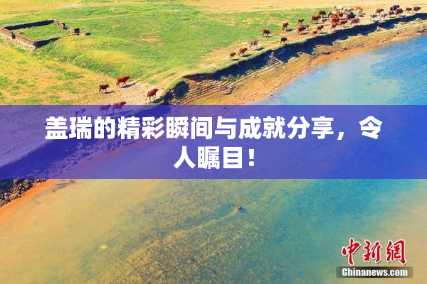 盖瑞的精彩瞬间与成就分享，令人瞩目！