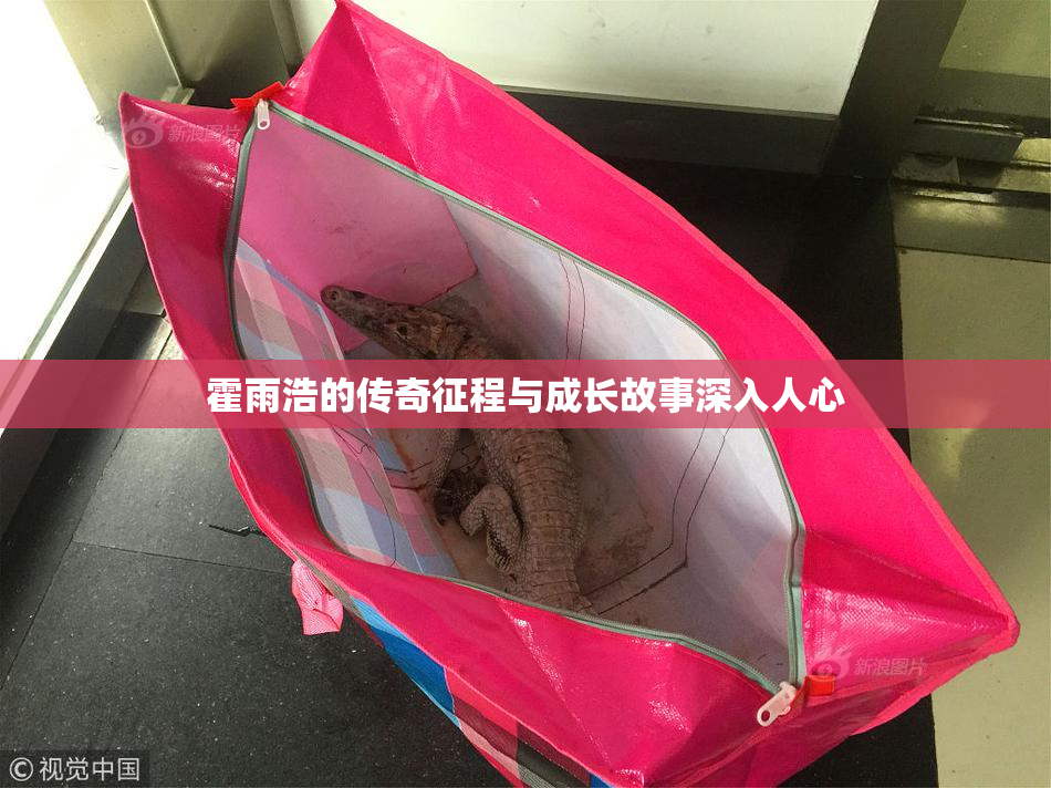 霍雨浩的传奇征程与成长故事深入人心