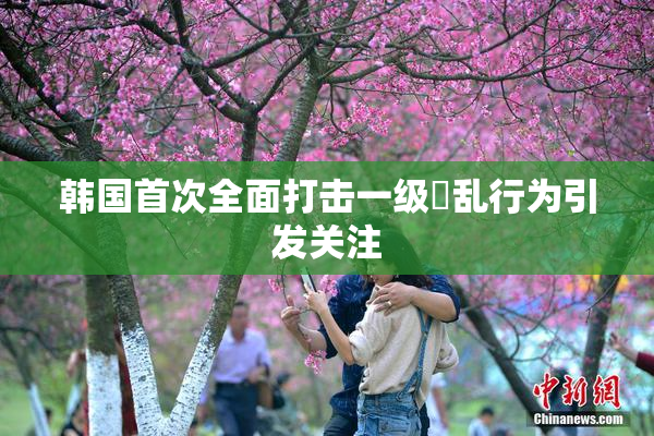 韩国首次全面打击一级婬乱行为引发关注