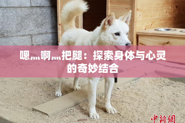嗯灬啊灬把腿：探索身体与心灵的奇妙结合