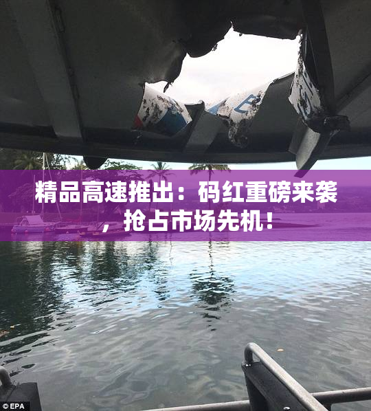 精品高速推出：码红重磅来袭，抢占市场先机！