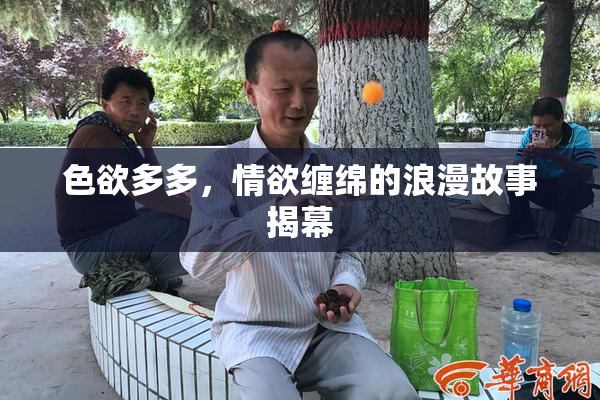 色欲多多，情欲缠绵的浪漫故事揭幕