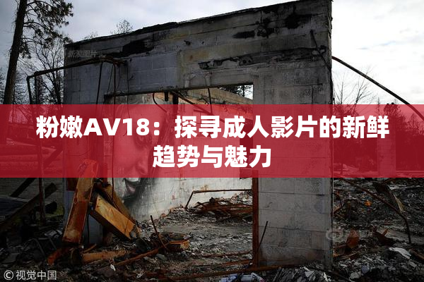 粉嫩AV18：探寻成人影片的新鲜趋势与魅力