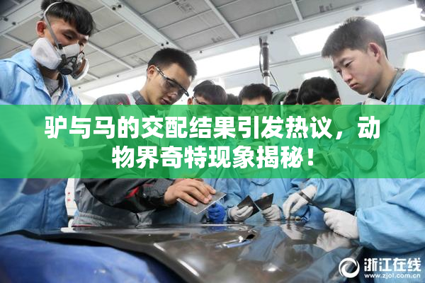 驴与马的交配结果引发热议，动物界奇特现象揭秘！
