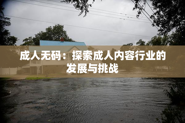 成人无码：探索成人内容行业的发展与挑战