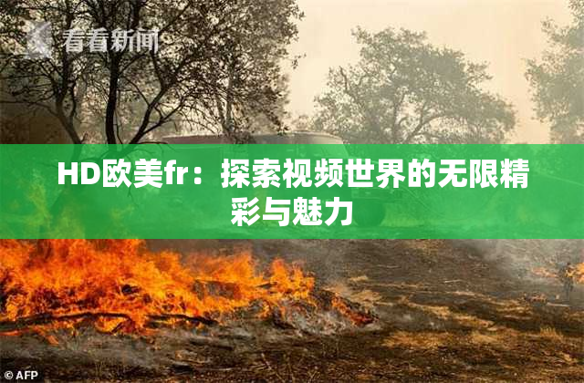 HD欧美fr：探索视频世界的无限精彩与魅力