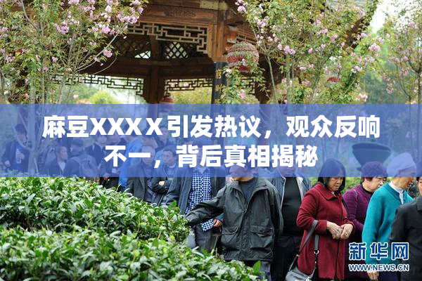 麻豆XXXⅩ引发热议，观众反响不一，背后真相揭秘