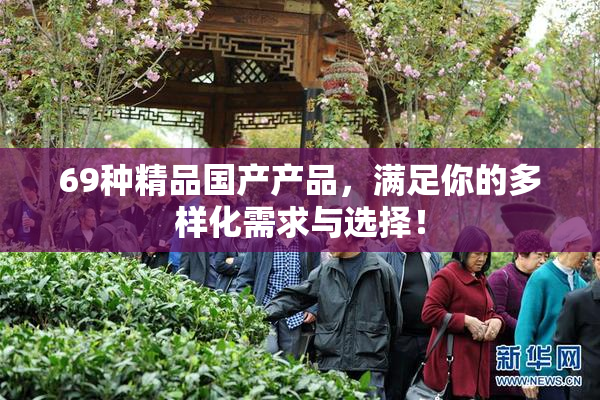 69种精品国产产品，满足你的多样化需求与选择！
