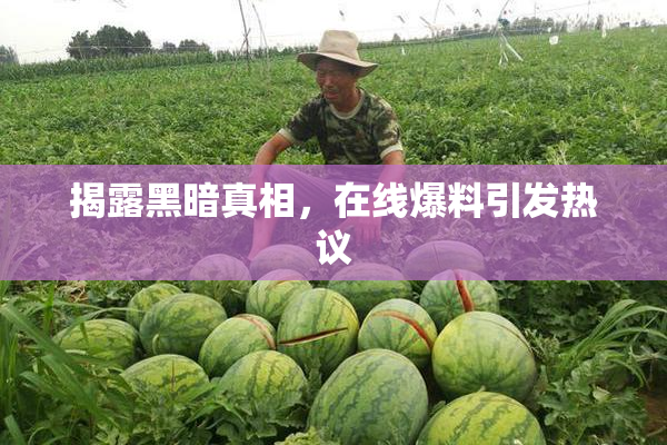 揭露黑暗真相，在线爆料引发热议