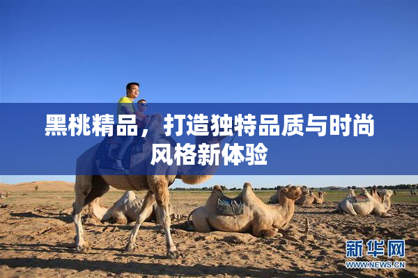 黑桃精品，打造独特品质与时尚风格新体验