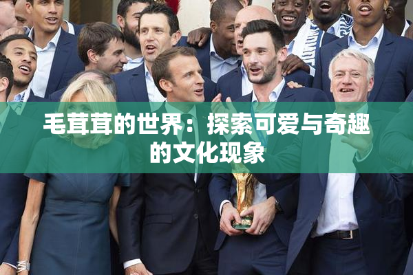 毛茸茸的世界：探索可爱与奇趣的文化现象