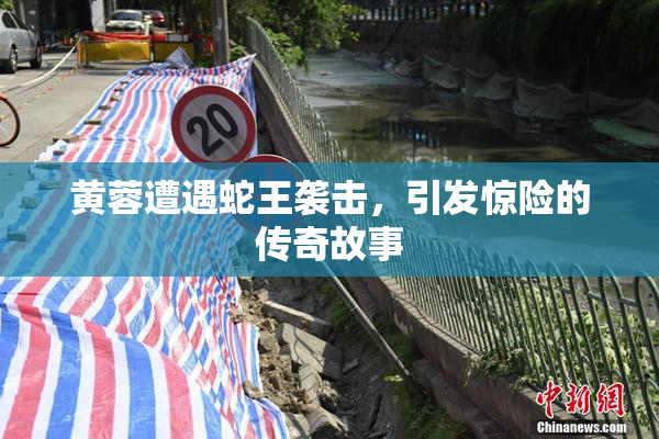 黄蓉遭遇蛇王袭击，引发惊险的传奇故事