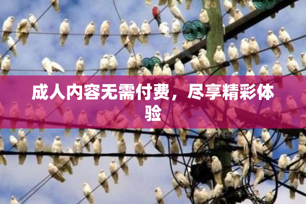 成人内容无需付费，尽享精彩体验