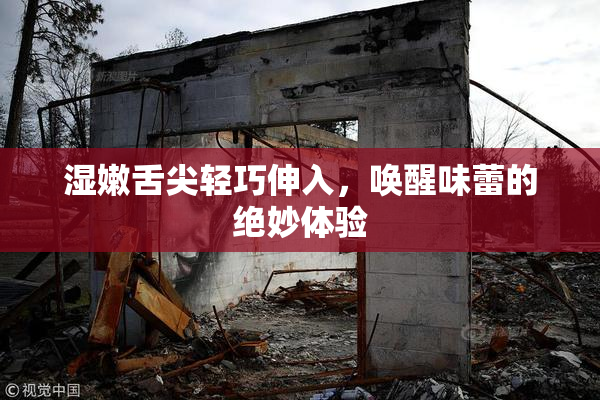 湿嫩舌尖轻巧伸入，唤醒味蕾的绝妙体验
