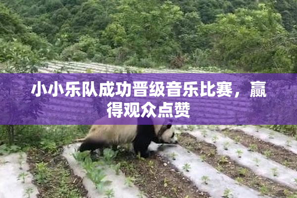 小小乐队成功晋级音乐比赛，赢得观众点赞