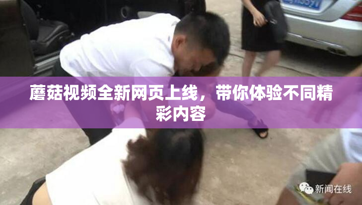 蘑菇视频全新网页上线，带你体验不同精彩内容