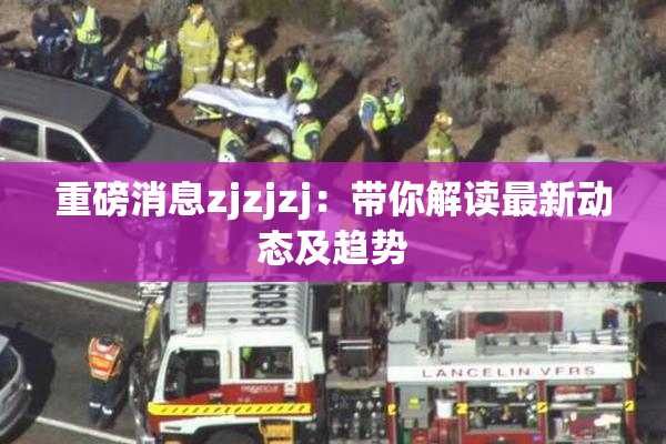 重磅消息zjzjzj：带你解读最新动态及趋势