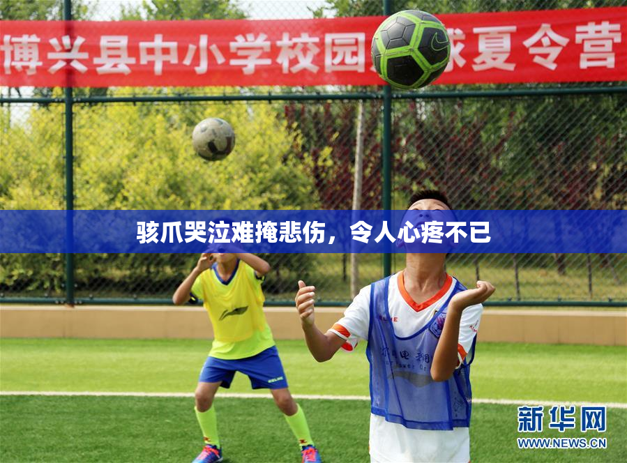 骇爪哭泣难掩悲伤，令人心疼不已