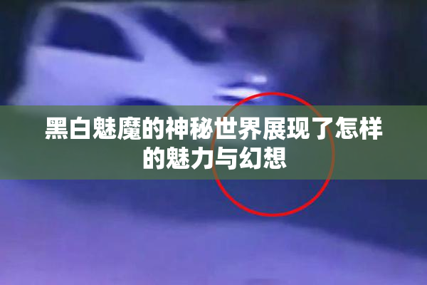 黑白魅魔的神秘世界展现了怎样的魅力与幻想